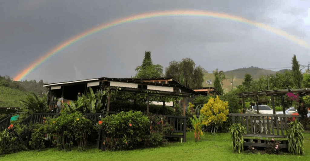 Niko Parrilla Campestre